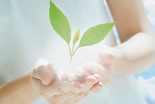 教育プログラムイメージ