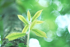 人事交流イメージ